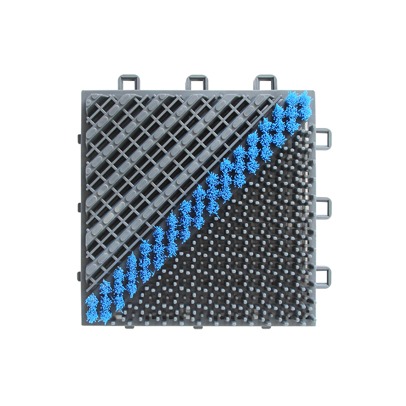 EVA-Single Brush type -  EVA material entrance mat with blue color brush